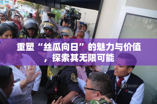 重塑“丝瓜向日”的魅力与价值，探索其无限可能