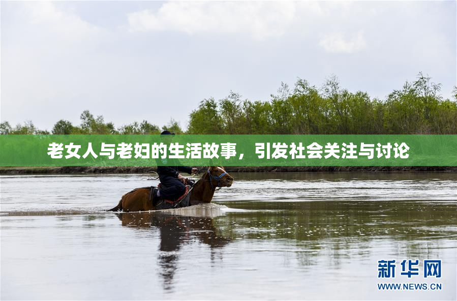 老女人与老妇的生活故事，引发社会关注与讨论