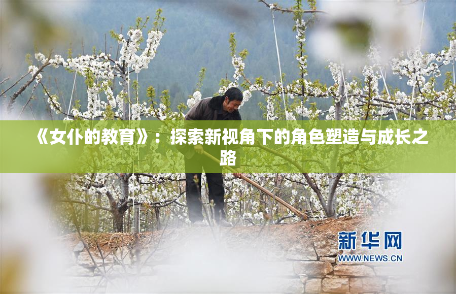 《女仆的教育》：探索新视角下的角色塑造与成长之路