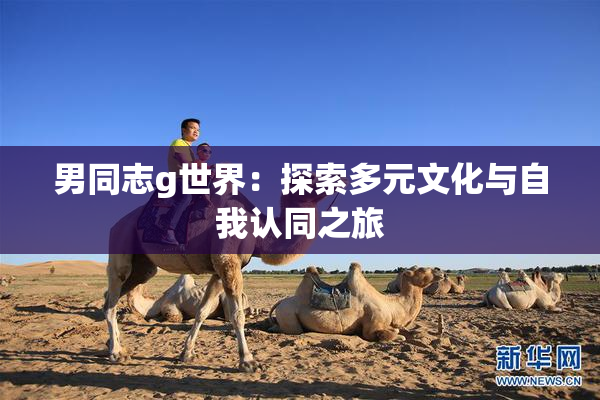 男同志g世界：探索多元文化与自我认同之旅