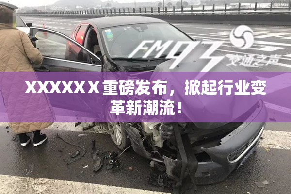 XXXXXⅩ重磅发布，掀起行业变革新潮流！