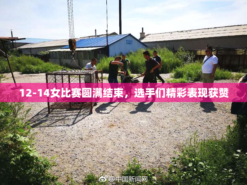 12-14女比赛圆满结束，选手们精彩表现获赞