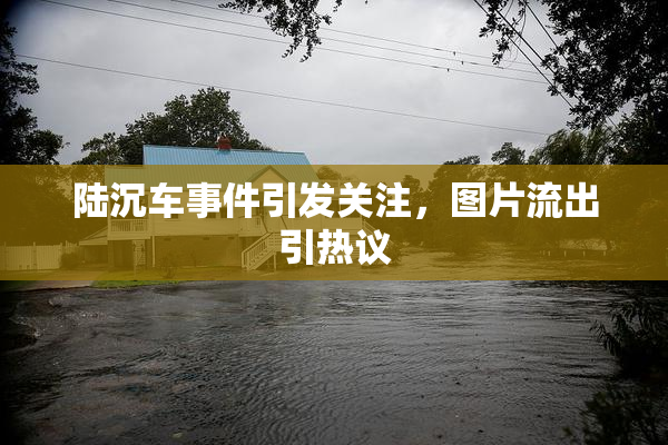 陆沉车事件引发关注，图片流出引热议