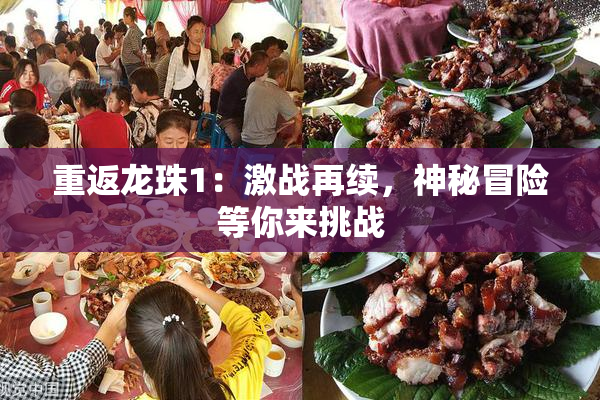 重返龙珠1：激战再续，神秘冒险等你来挑战