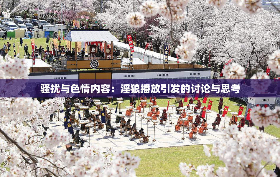 骚扰与色情内容：淫狼播放引发的讨论与思考