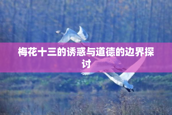 梅花十三的诱惑与道德的边界探讨