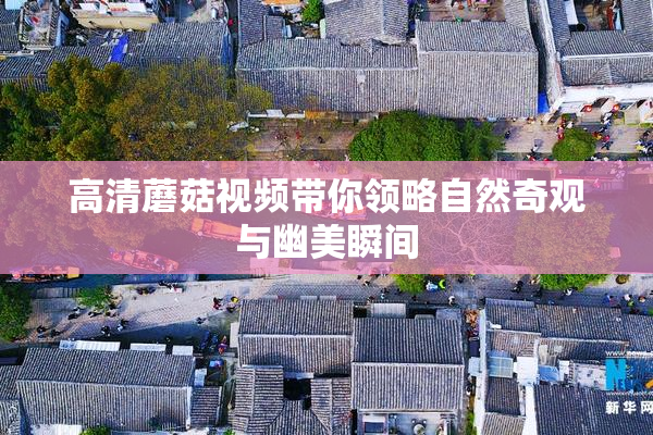 高清蘑菇视频带你领略自然奇观与幽美瞬间