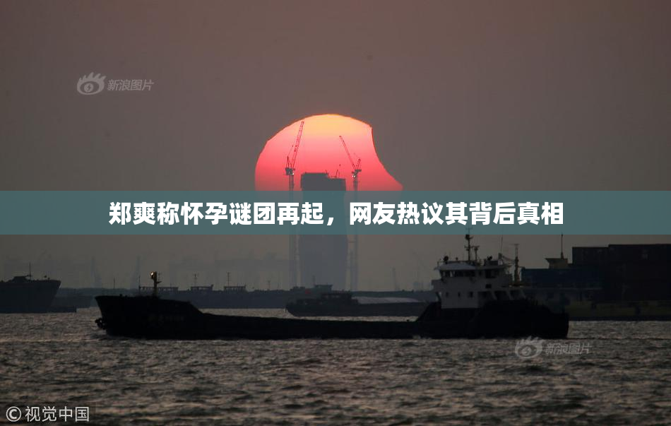 郑爽称怀孕谜团再起，网友热议其背后真相