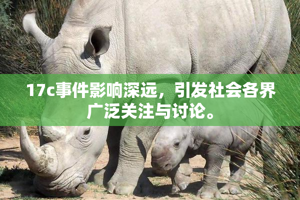 17c事件影响深远，引发社会各界广泛关注与讨论。