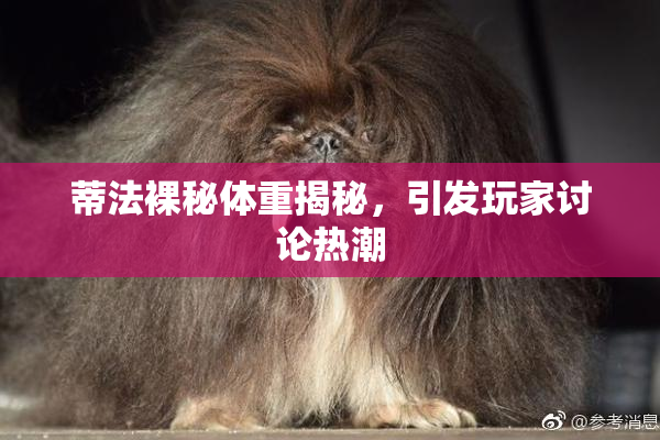 蒂法裸秘体重揭秘，引发玩家讨论热潮