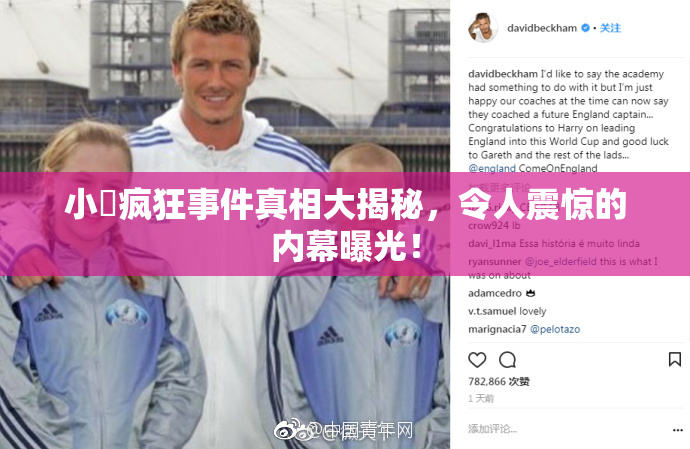 小泬疯狂事件真相大揭秘，令人震惊的内幕曝光！