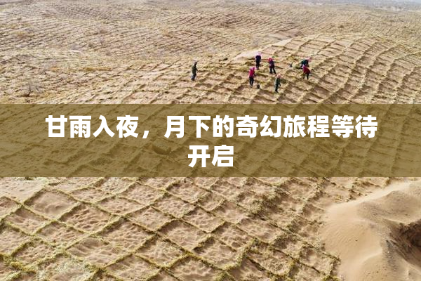 甘雨入夜，月下的奇幻旅程等待开启