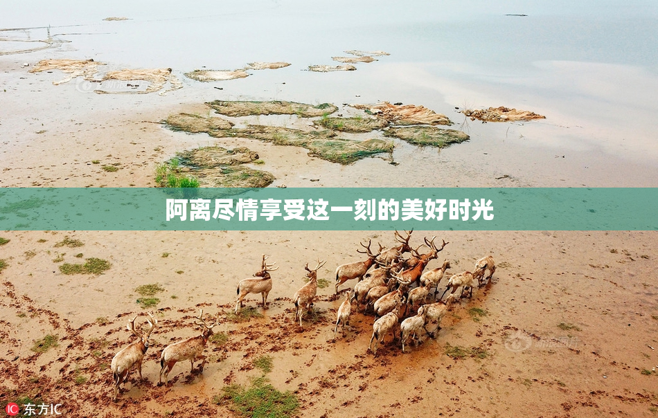 阿离尽情享受这一刻的美好时光