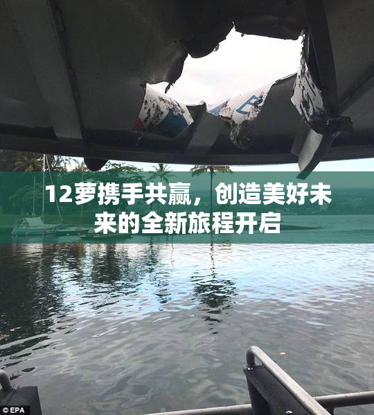 12萝携手共赢，创造美好未来的全新旅程开启