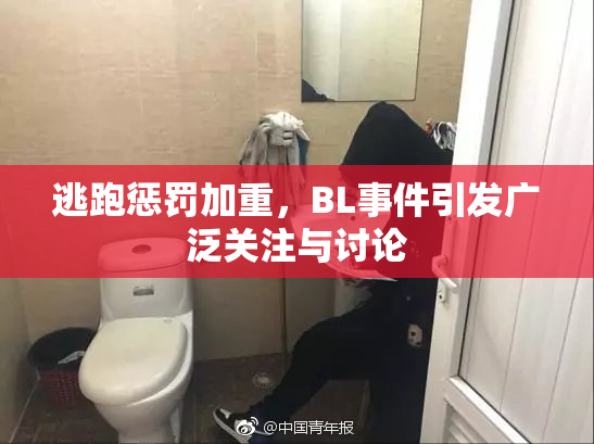 逃跑惩罚加重，BL事件引发广泛关注与讨论