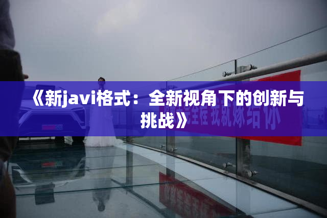 《新javi格式：全新视角下的创新与挑战》