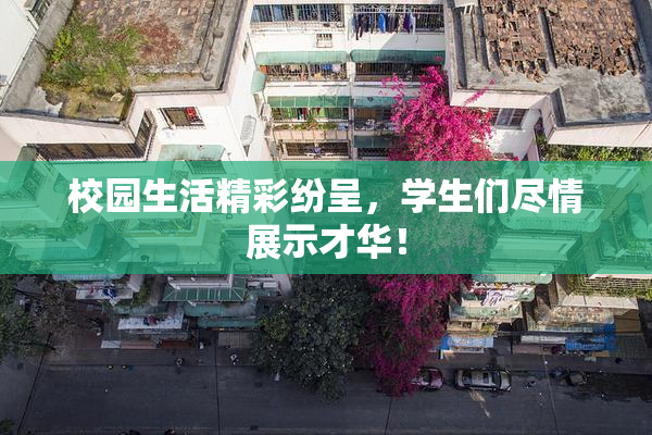 校园生活精彩纷呈，学生们尽情展示才华！