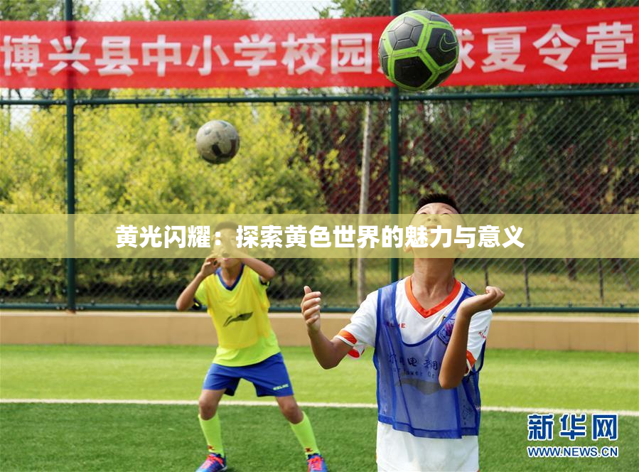 黄光闪耀：探索黄色世界的魅力与意义