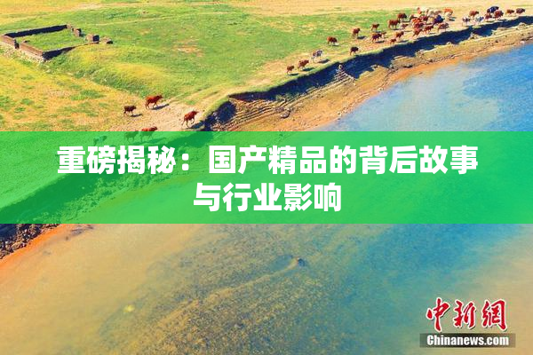 重磅揭秘：国产精品的背后故事与行业影响