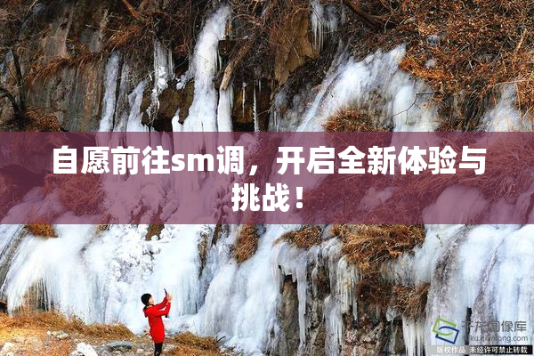 自愿前往sm调，开启全新体验与挑战！