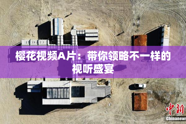 樱花视频A片：带你领略不一样的视听盛宴