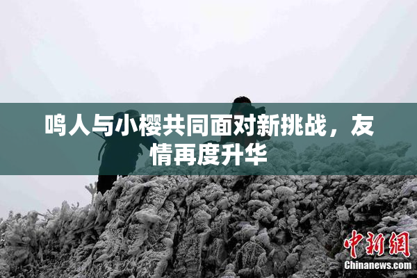 鸣人与小樱共同面对新挑战，友情再度升华