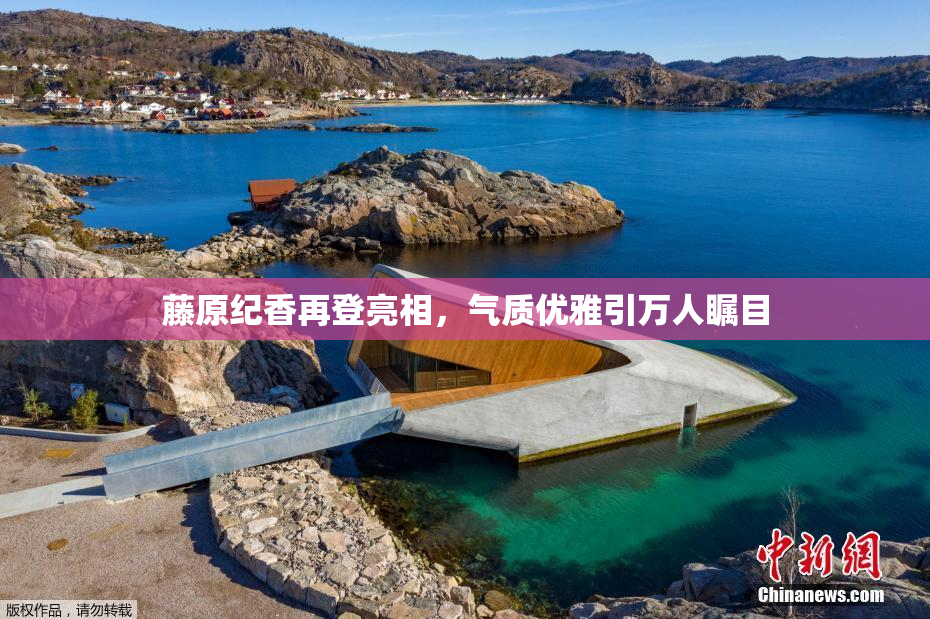 藤原纪香再登亮相，气质优雅引万人瞩目