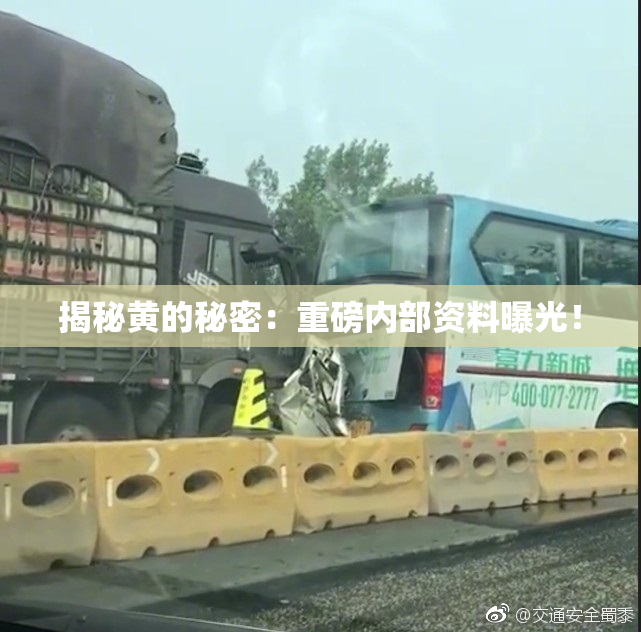 揭秘黄的秘密：重磅内部资料曝光！