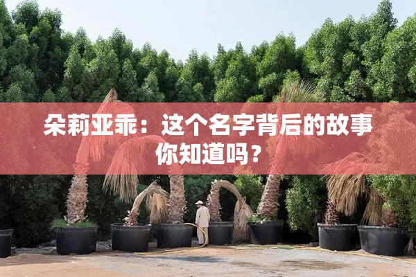 朵莉亚乖：这个名字背后的故事你知道吗？