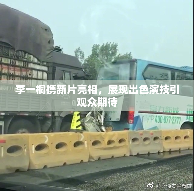 李一桐携新片亮相，展现出色演技引观众期待