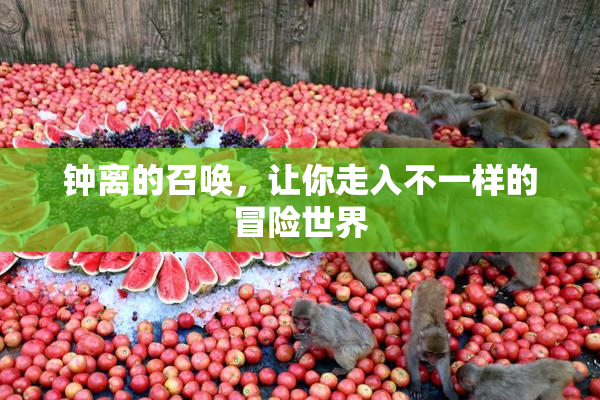 钟离的召唤，让你走入不一样的冒险世界