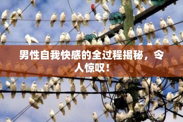 男性自我快感的全过程揭秘，令人惊叹！