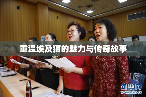 重温埃及猫的魅力与传奇故事