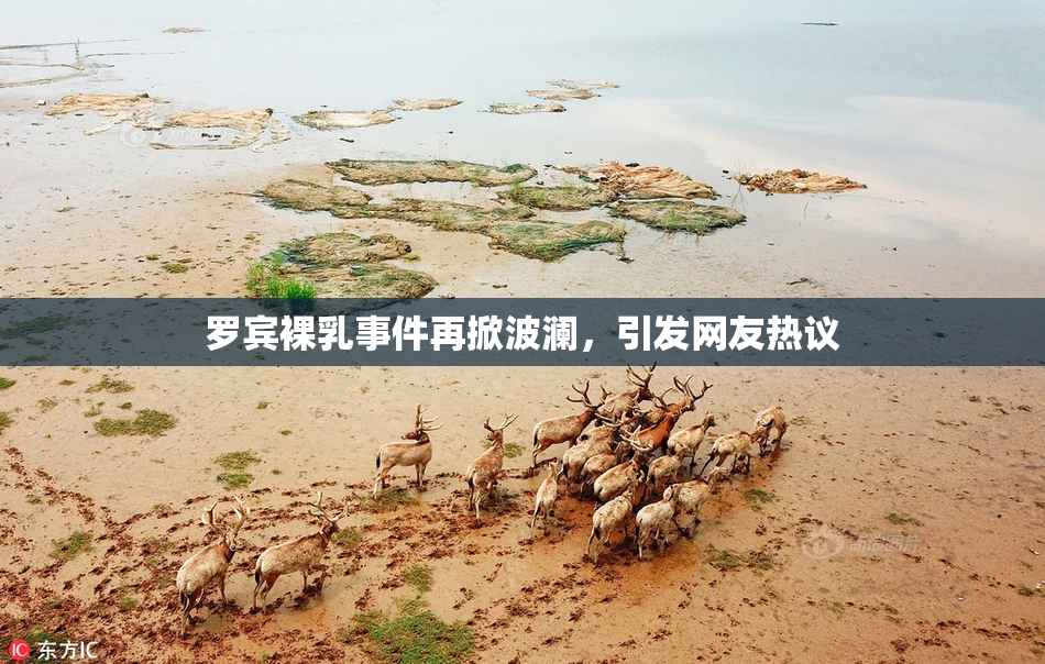 罗宾裸乳事件再掀波澜，引发网友热议
