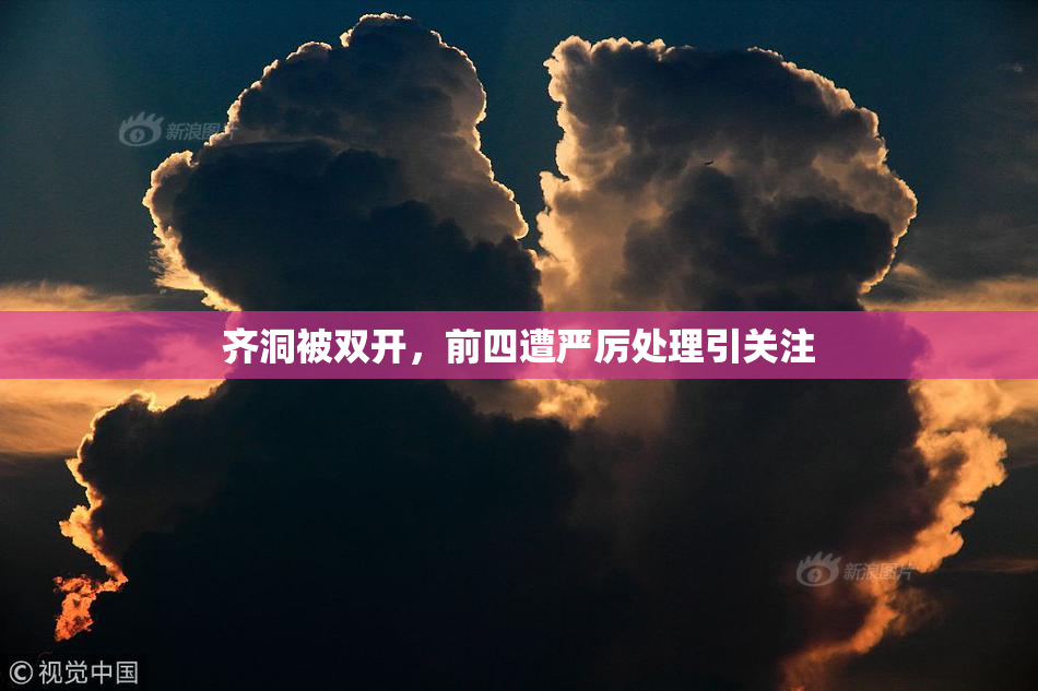 齐洞被双开，前四遭严厉处理引关注
