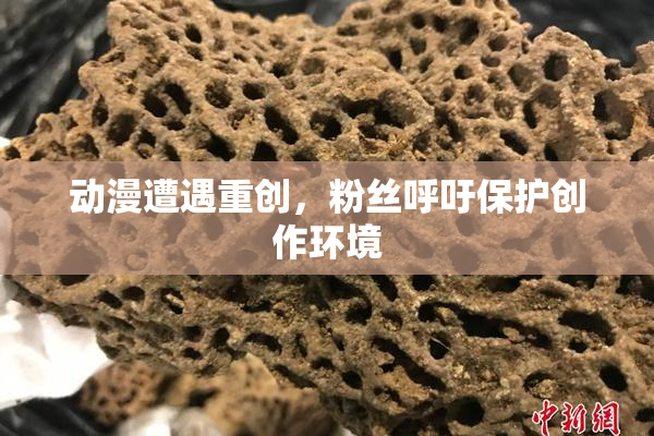 动漫遭遇重创，粉丝呼吁保护创作环境