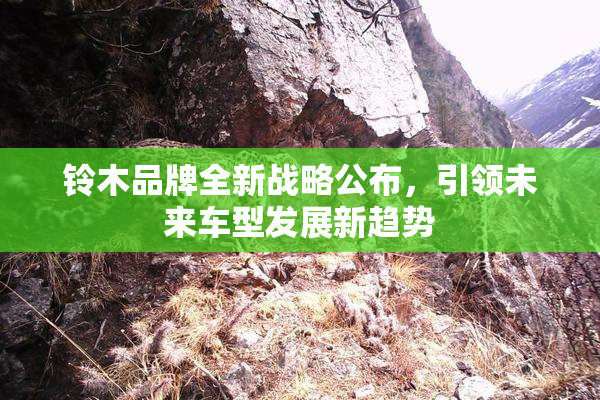 铃木品牌全新战略公布，引领未来车型发展新趋势