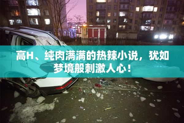 高H、纯肉满满的热辣小说，犹如梦境般刺激人心！