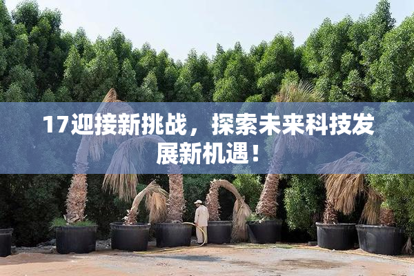 17迎接新挑战，探索未来科技发展新机遇！