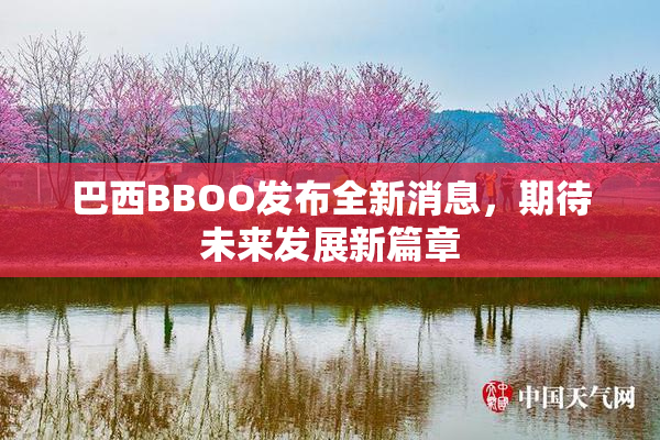 巴西BBOO发布全新消息，期待未来发展新篇章