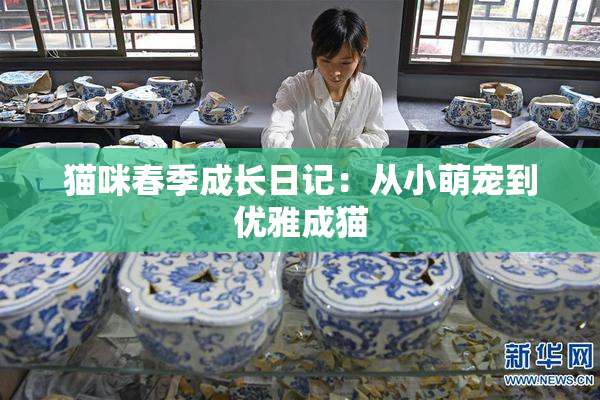 猫咪春季成长日记：从小萌宠到优雅成猫
