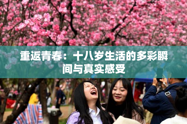 重返青春：十八岁生活的多彩瞬间与真实感受