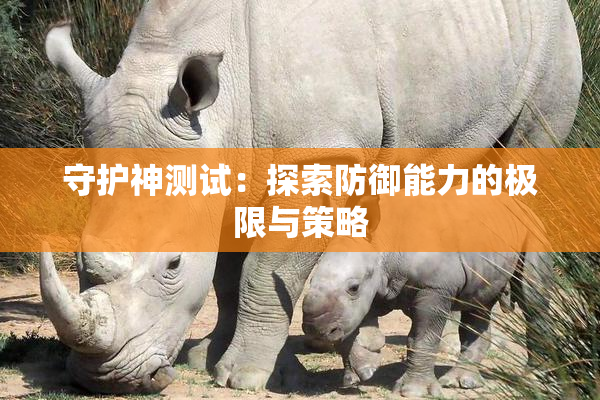 守护神测试：探索防御能力的极限与策略