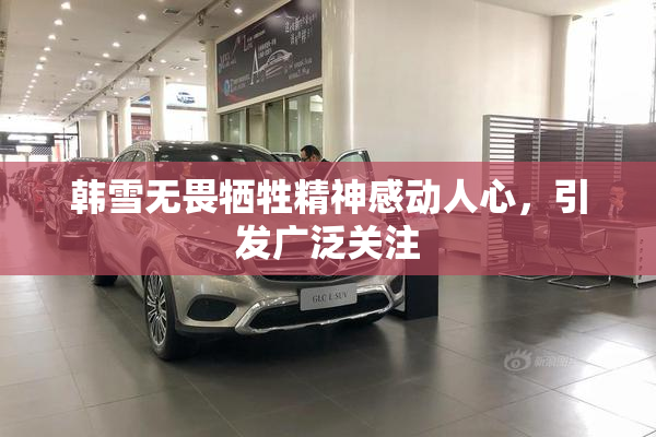 韩雪无畏牺牲精神感动人心，引发广泛关注