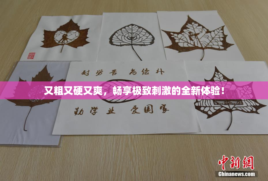 又粗又硬又爽，畅享极致刺激的全新体验！
