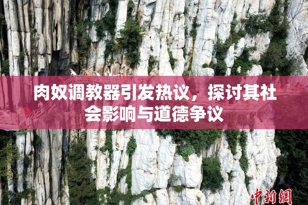 肉奴调教器引发热议，探讨其社会影响与道德争议