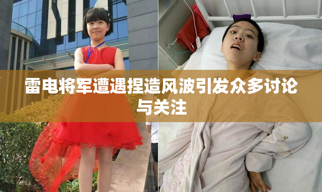 雷电将军遭遇捏造风波引发众多讨论与关注