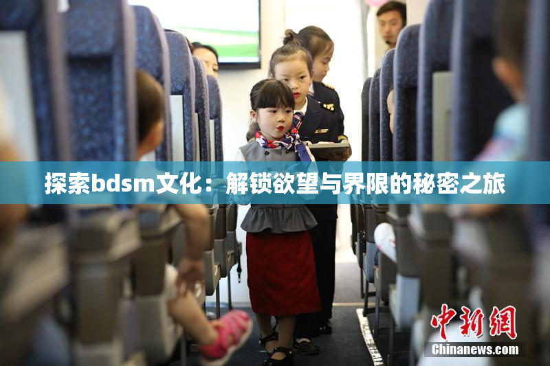 探索bdsm文化：解锁欲望与界限的秘密之旅