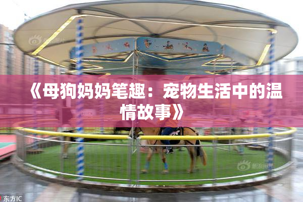 《母狗妈妈笔趣：宠物生活中的温情故事》