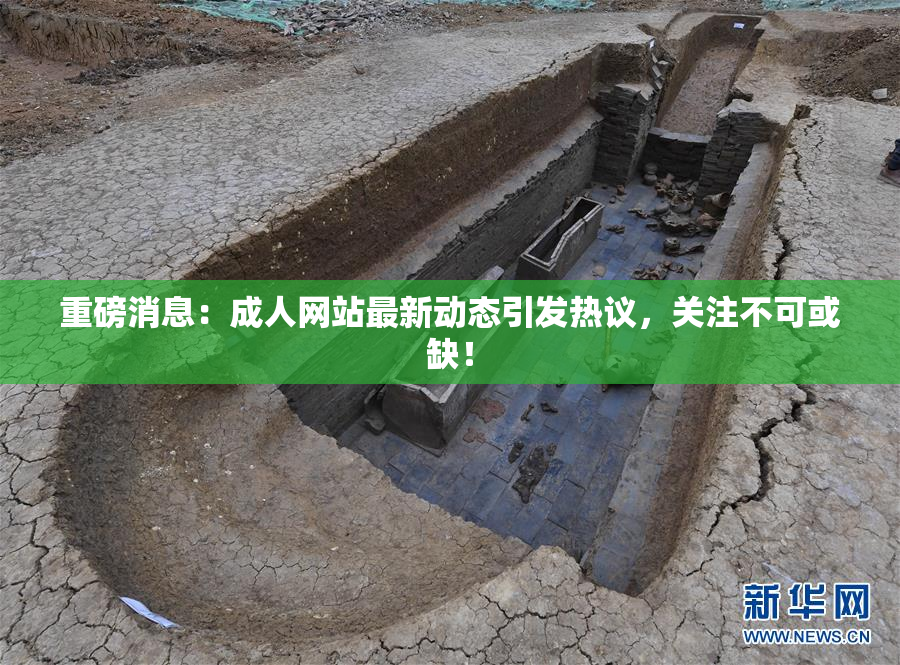 重磅消息：成人网站最新动态引发热议，关注不可或缺！